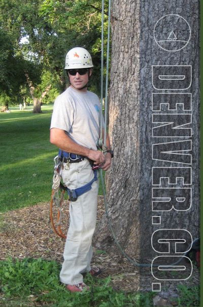 Getting Ready yo Climb a tree for Pruning